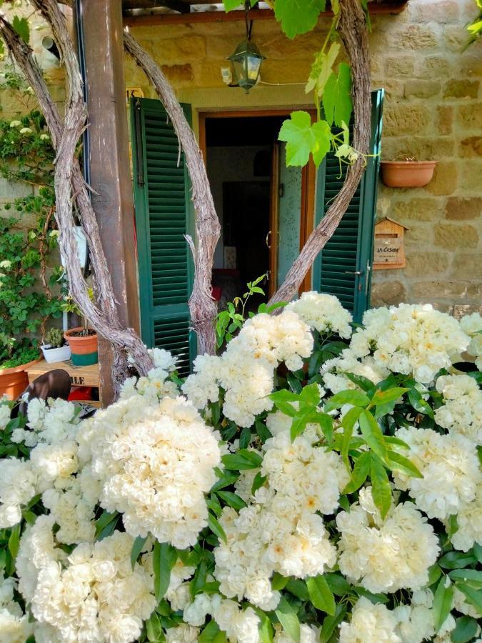 Ferienwohnung La Casina Stia Exterior foto